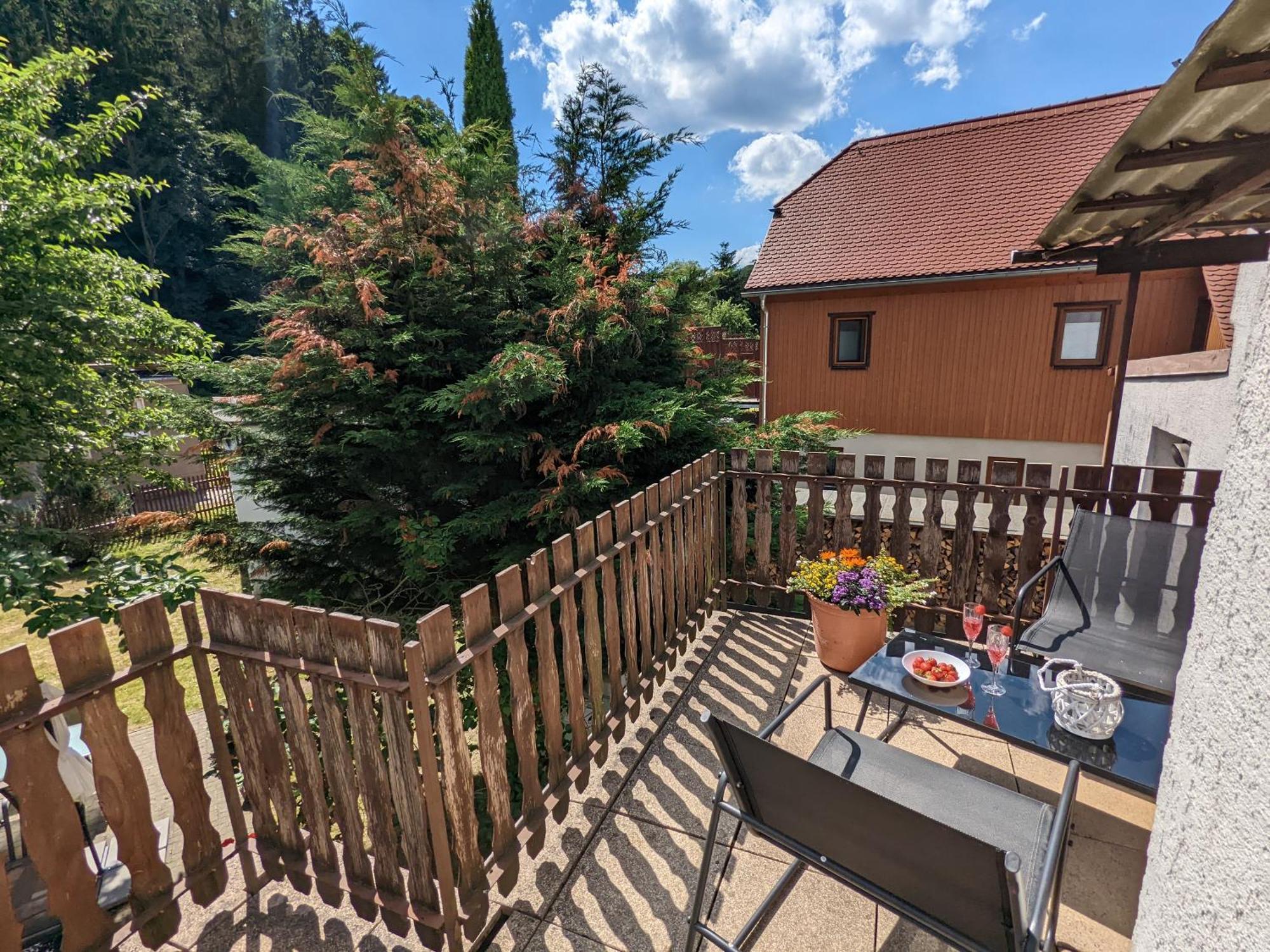 H6 -Urlaubsmagie- Wohnung Fuer 3 Mit Pool & Terrasse Sebnitz Exterior photo