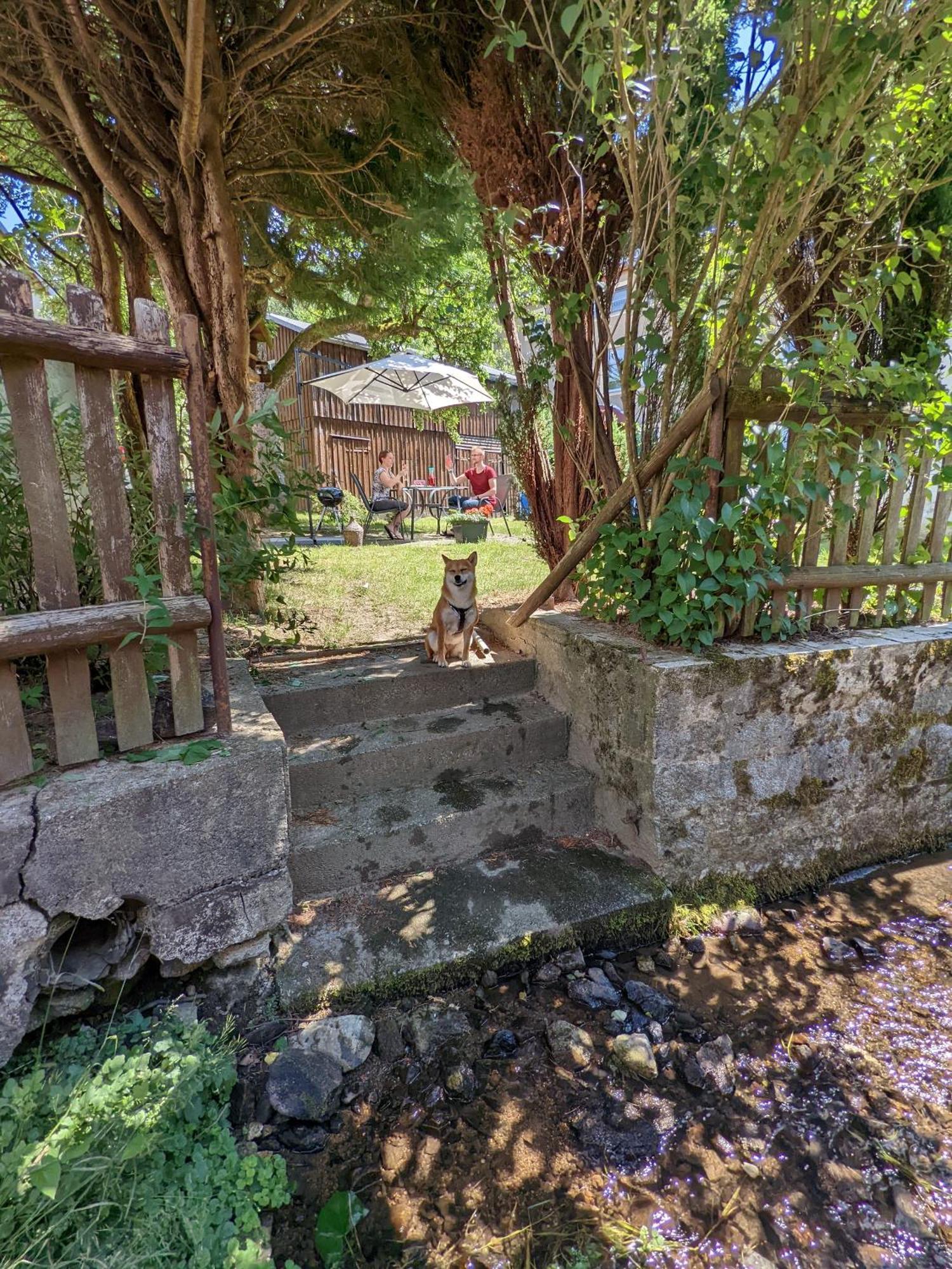 H6 -Urlaubsmagie- Wohnung Fuer 3 Mit Pool & Terrasse Sebnitz Exterior photo