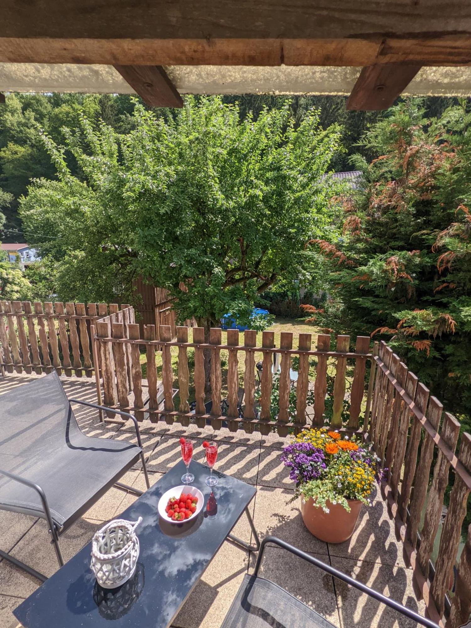 H6 -Urlaubsmagie- Wohnung Fuer 3 Mit Pool & Terrasse Sebnitz Exterior photo